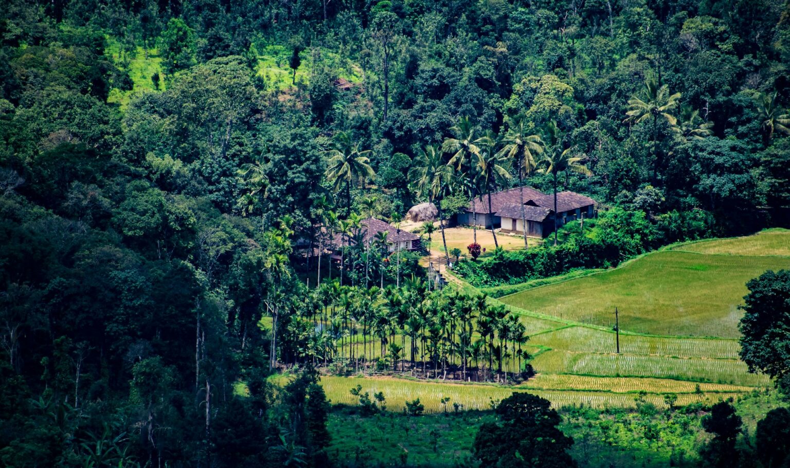 Coorg, India