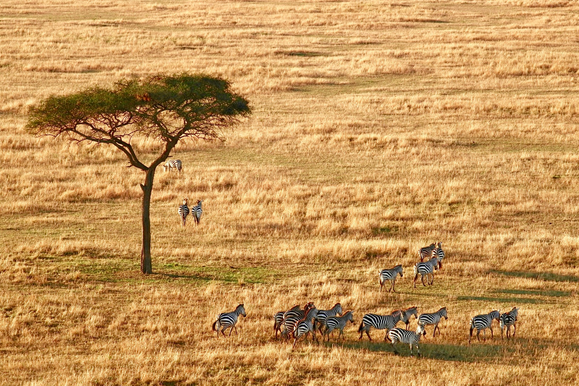 Serengeti National Park-Tanzania