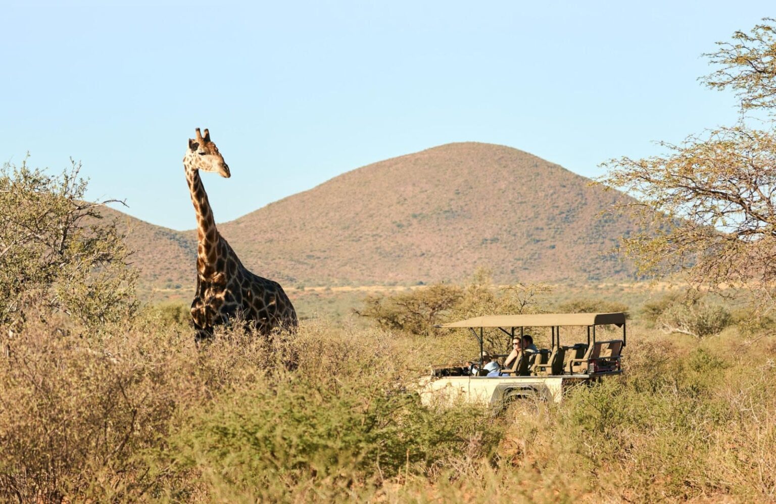 Your Own Private Safari Vehicle Guide and Tracker