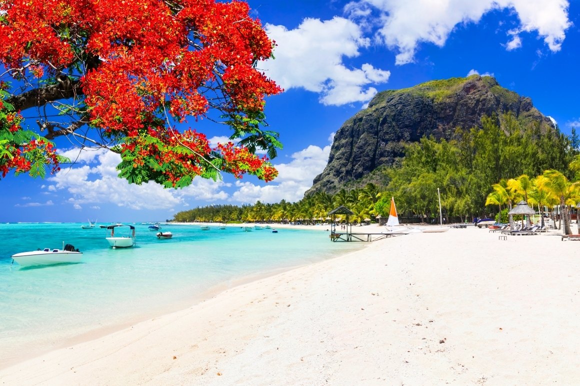 Best of Mauritius | Tailor-made Travel from True Travel