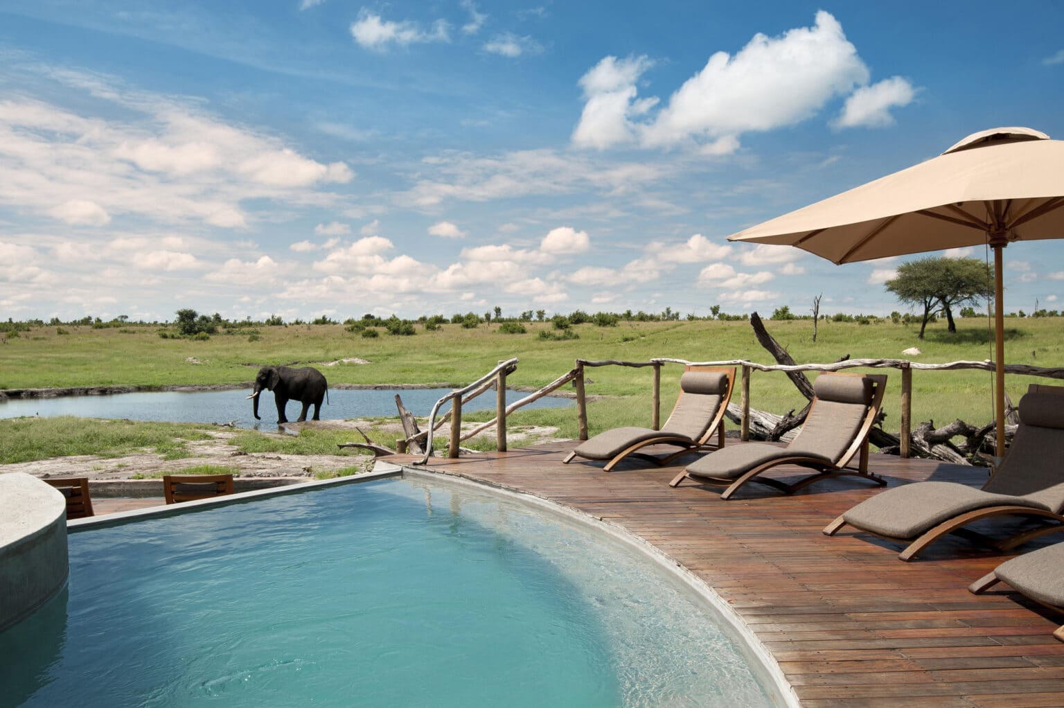 AF_Zimbabwe_Hwange National Park_African Bush Camps Somalisa Camp-pool