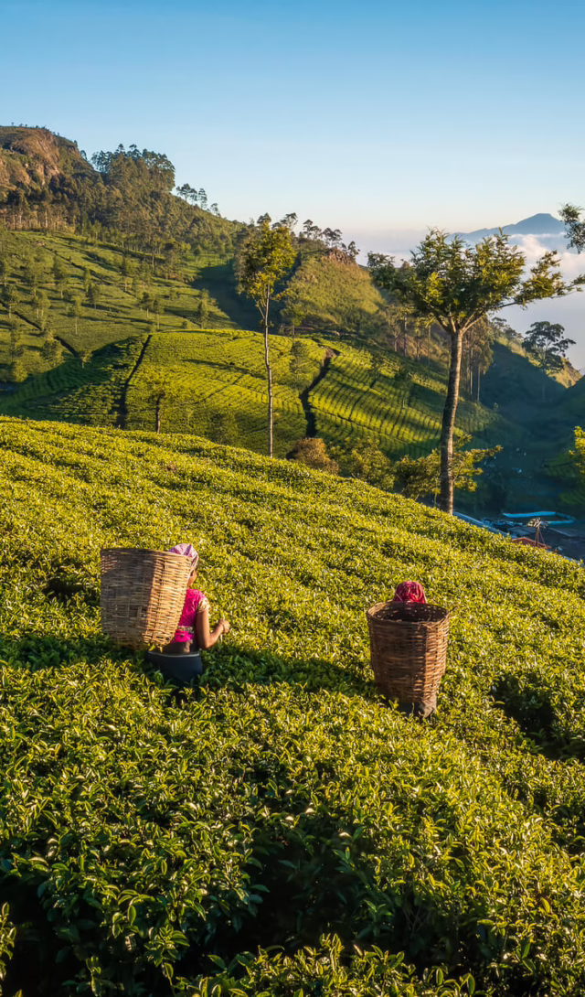 Ceylon, Sri Lanka