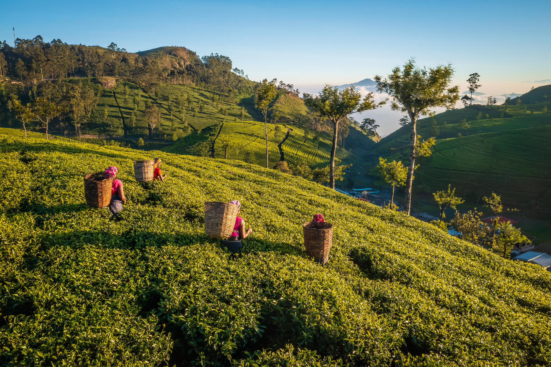 Ceylon, Sri Lanka
