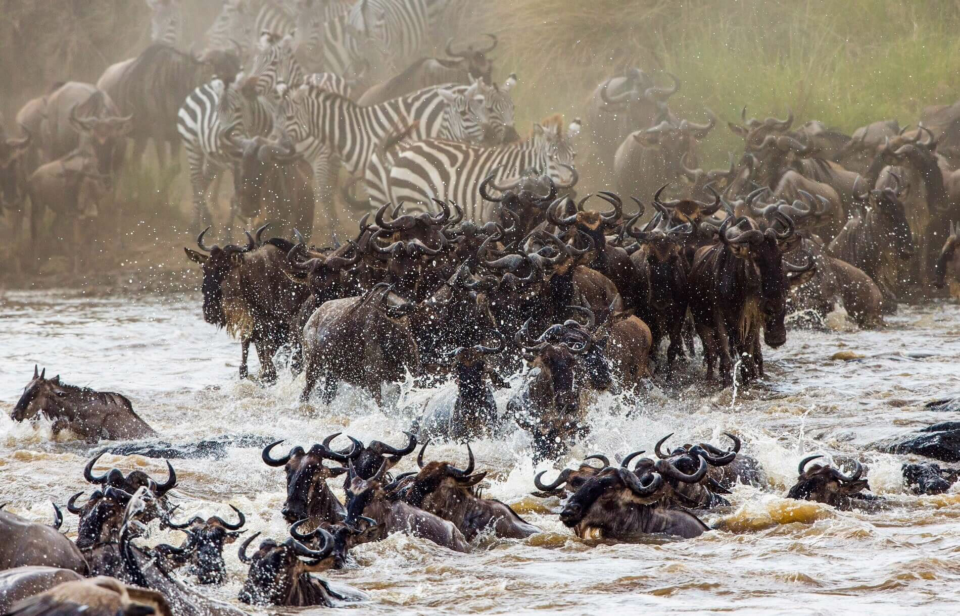 Serengeti National Park, Tanzania