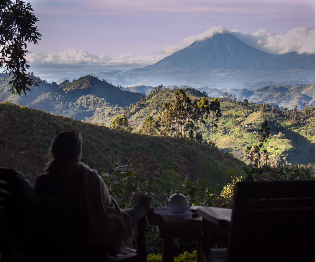 View from Clouds Mountain Gorilla Lodge across forested hills to the Virunga Mountains, Uganda