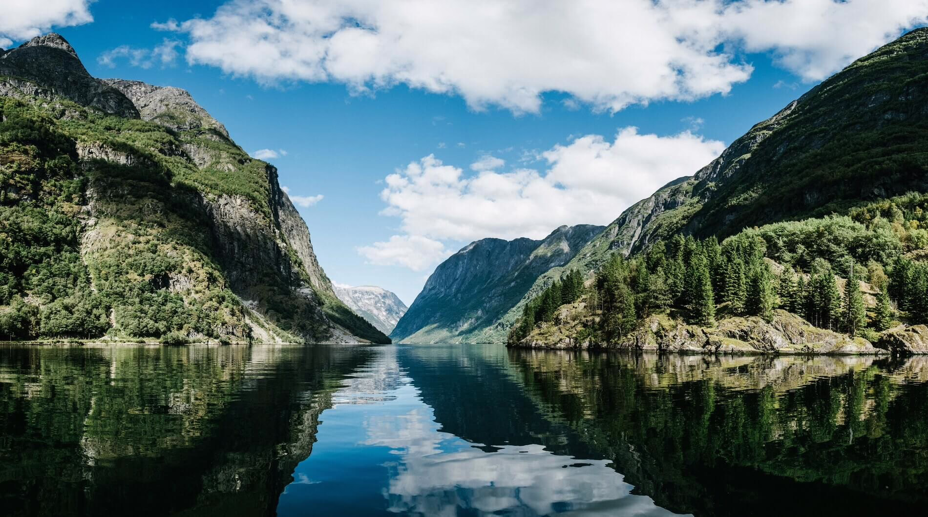 Norwegian Fjords