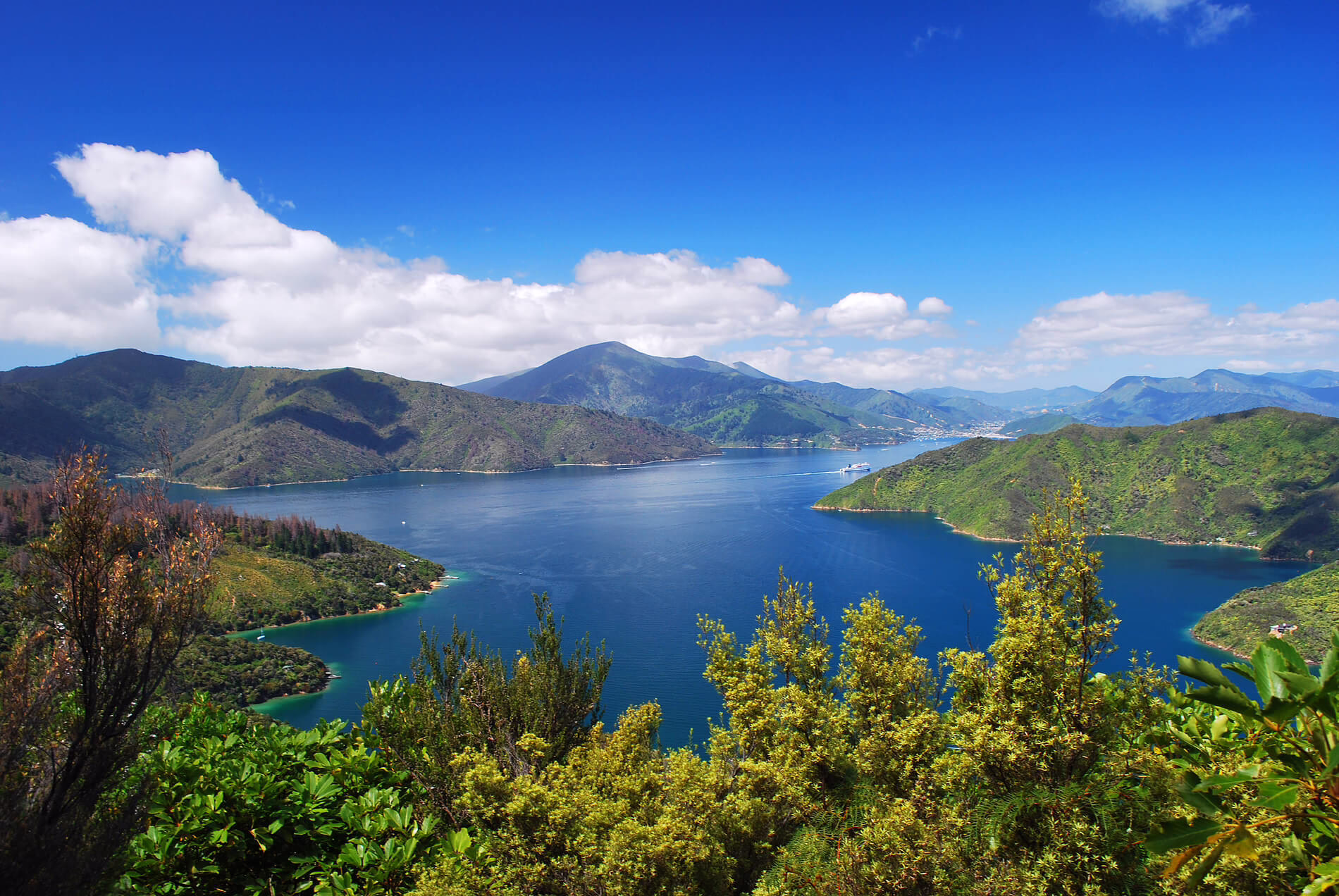 Blackwood Bay among the forested hills of the Marlborough Sounds, New Zealand