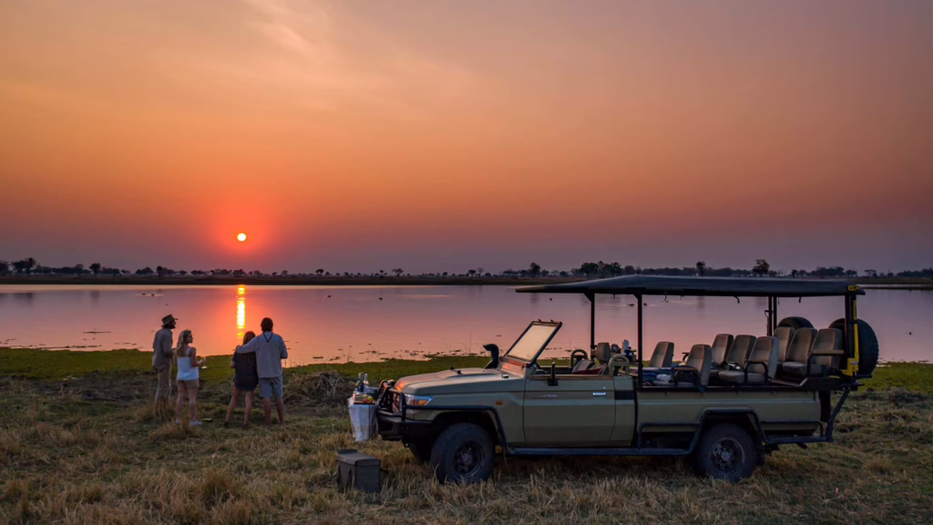 Group on safari at sunset