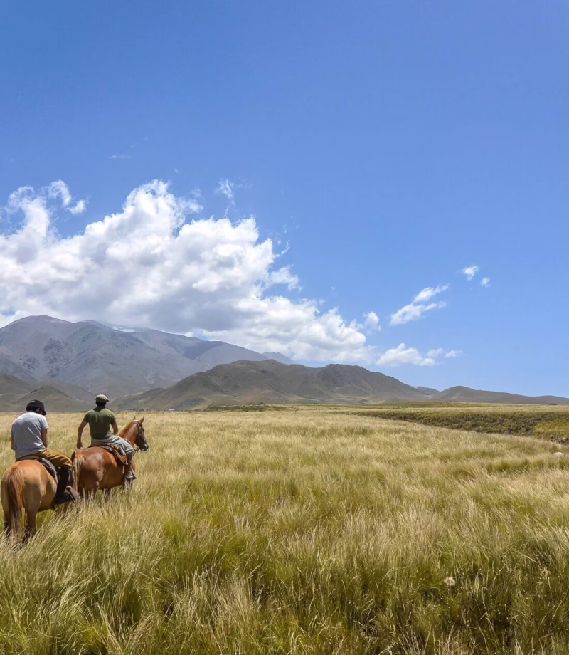 Horseback Riding Gaucho Experience, Argentina