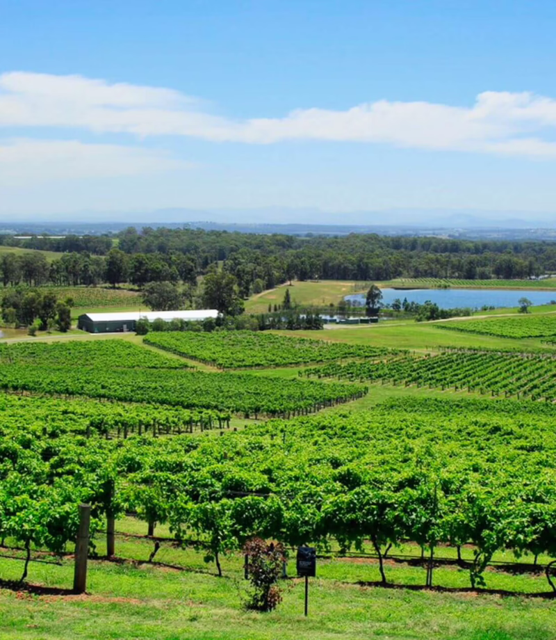 Wine Tasting, Australia