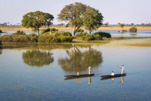 Okavango Mokoro Safari, Botswana