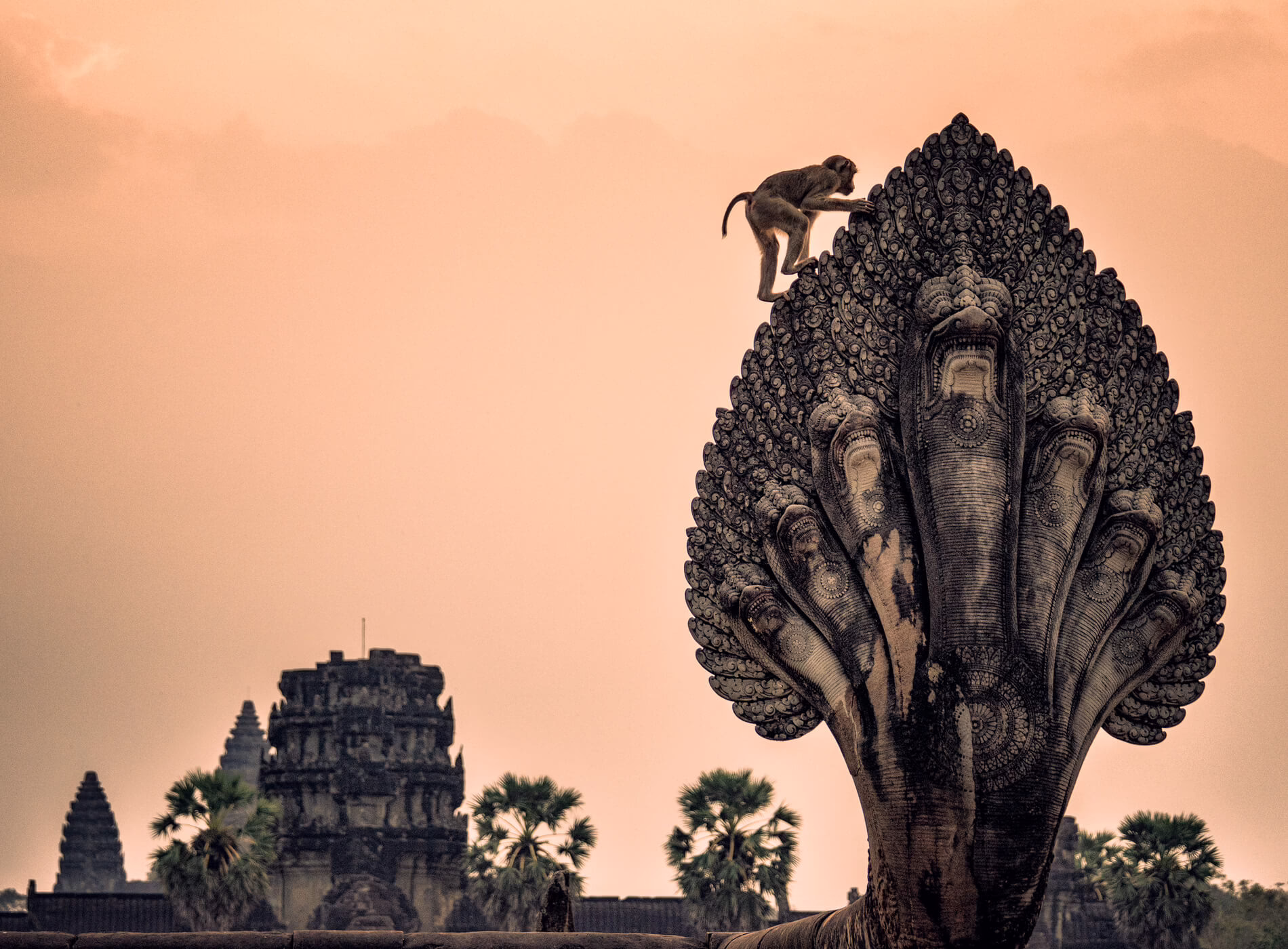 Angkor Wat, Cambodia