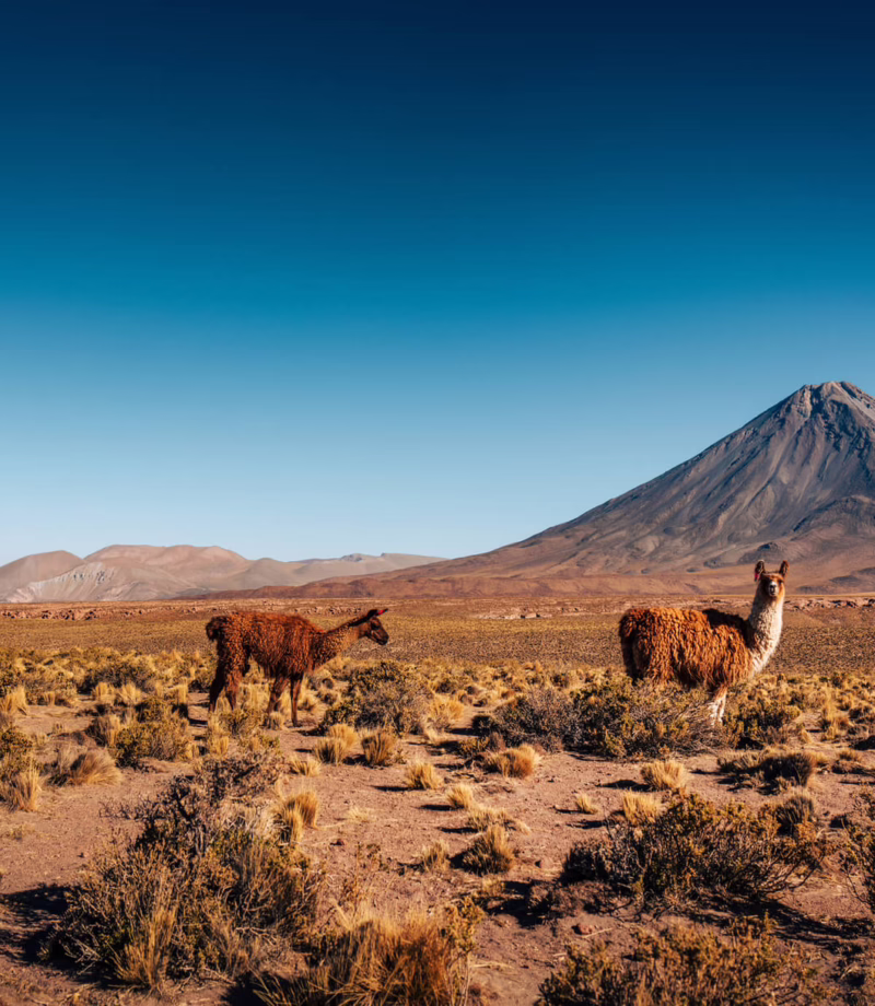 Atacama, Chile