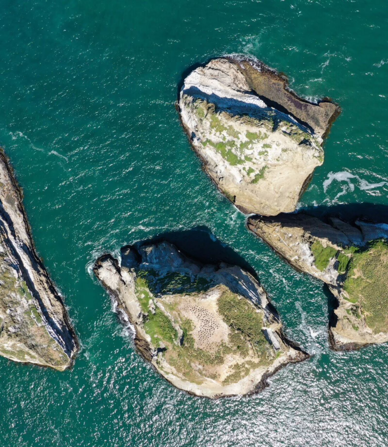 Chiloe Island Hike Picnic, Chile