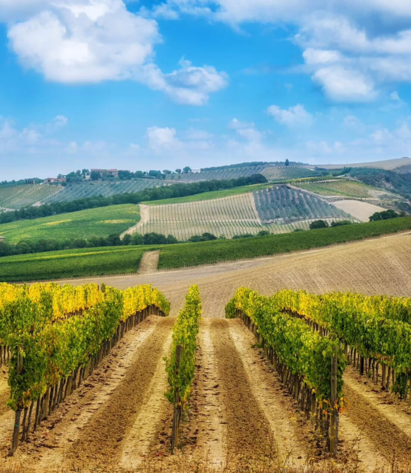 Tuscany Wine Tasting, Italy
