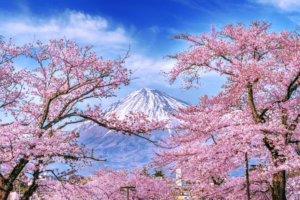 Mt Fuji, Japan