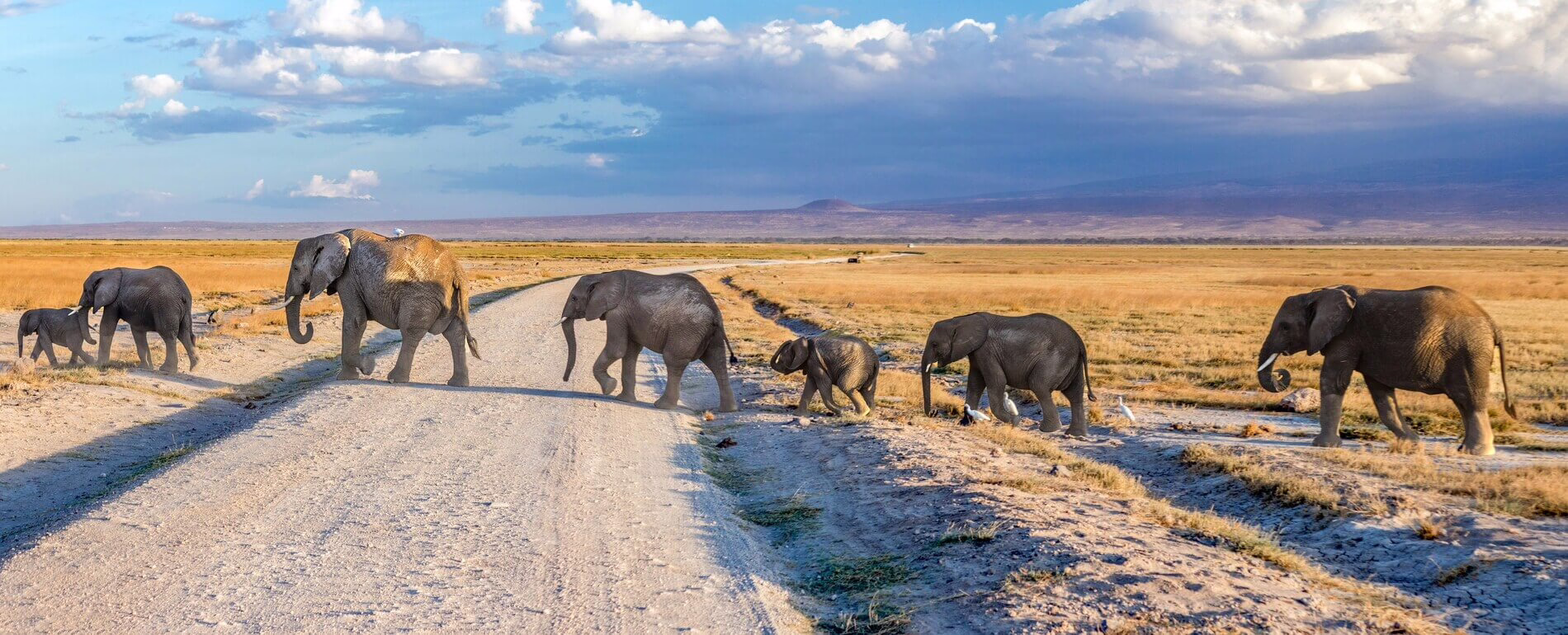 Amboseli National Park, Kenya