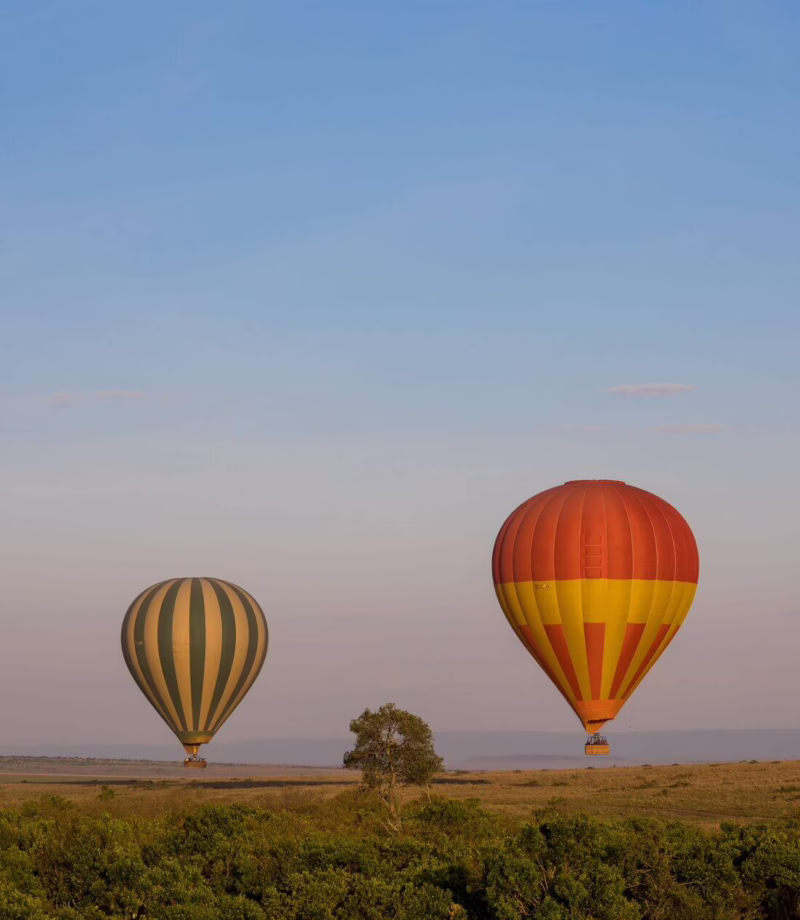 Maasai Mara Sunrise Hot Air Balloon, Kenya