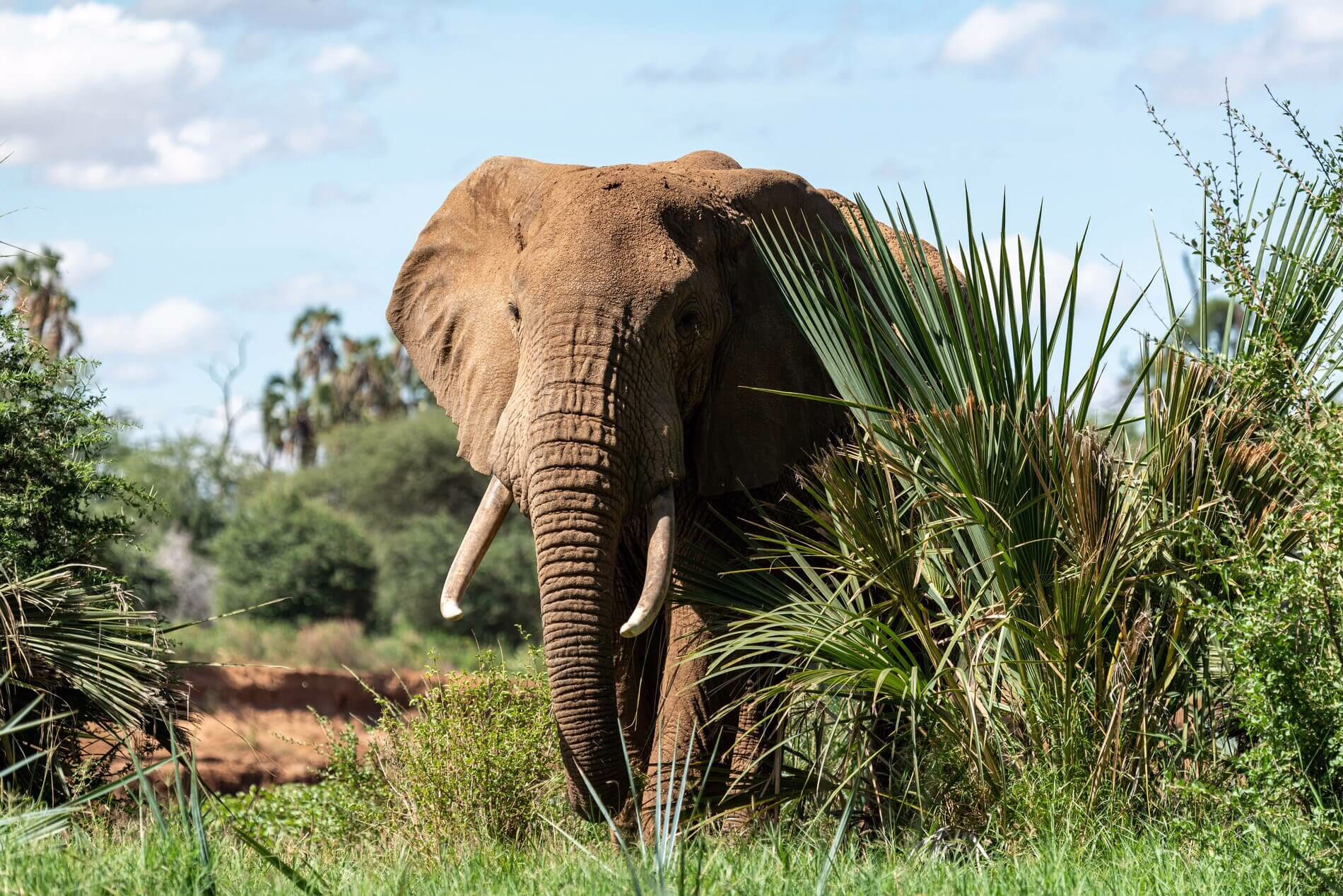 Samburu, Kenya