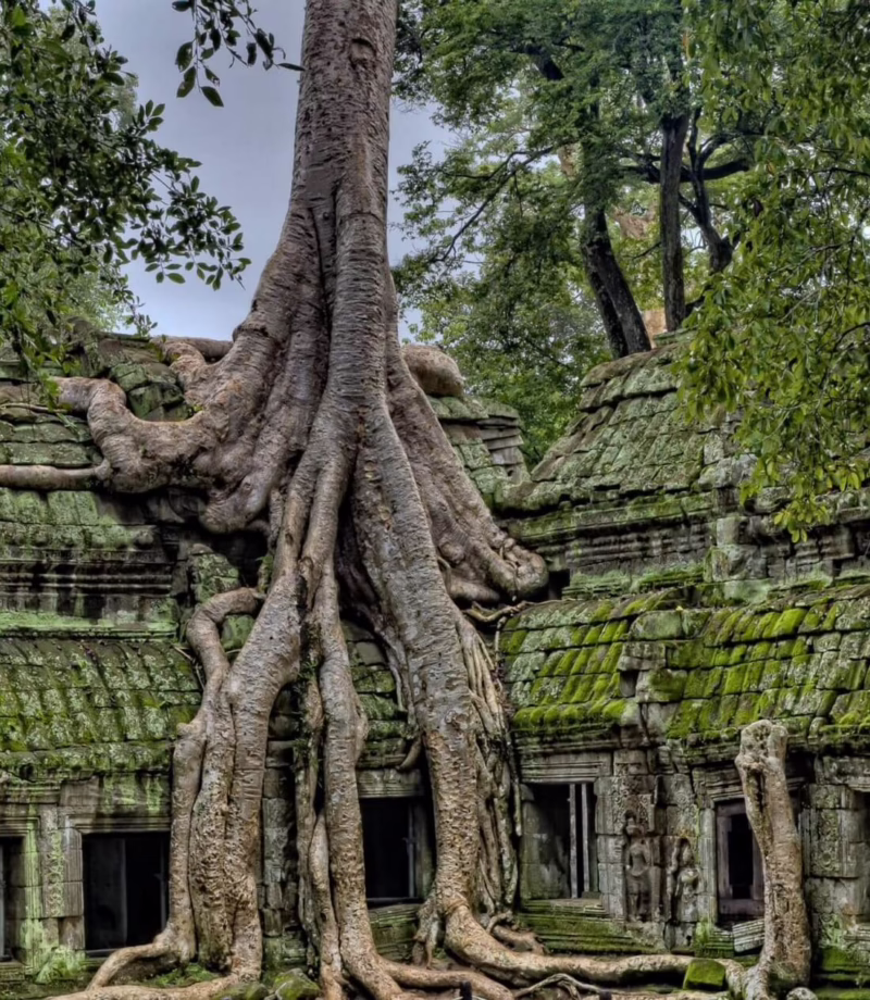 Temples Of The Forest Cycling, Cambodia
