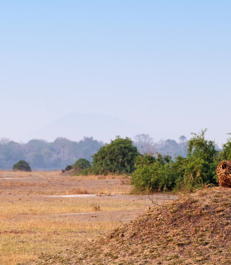 Liwonde National Park, Malawi