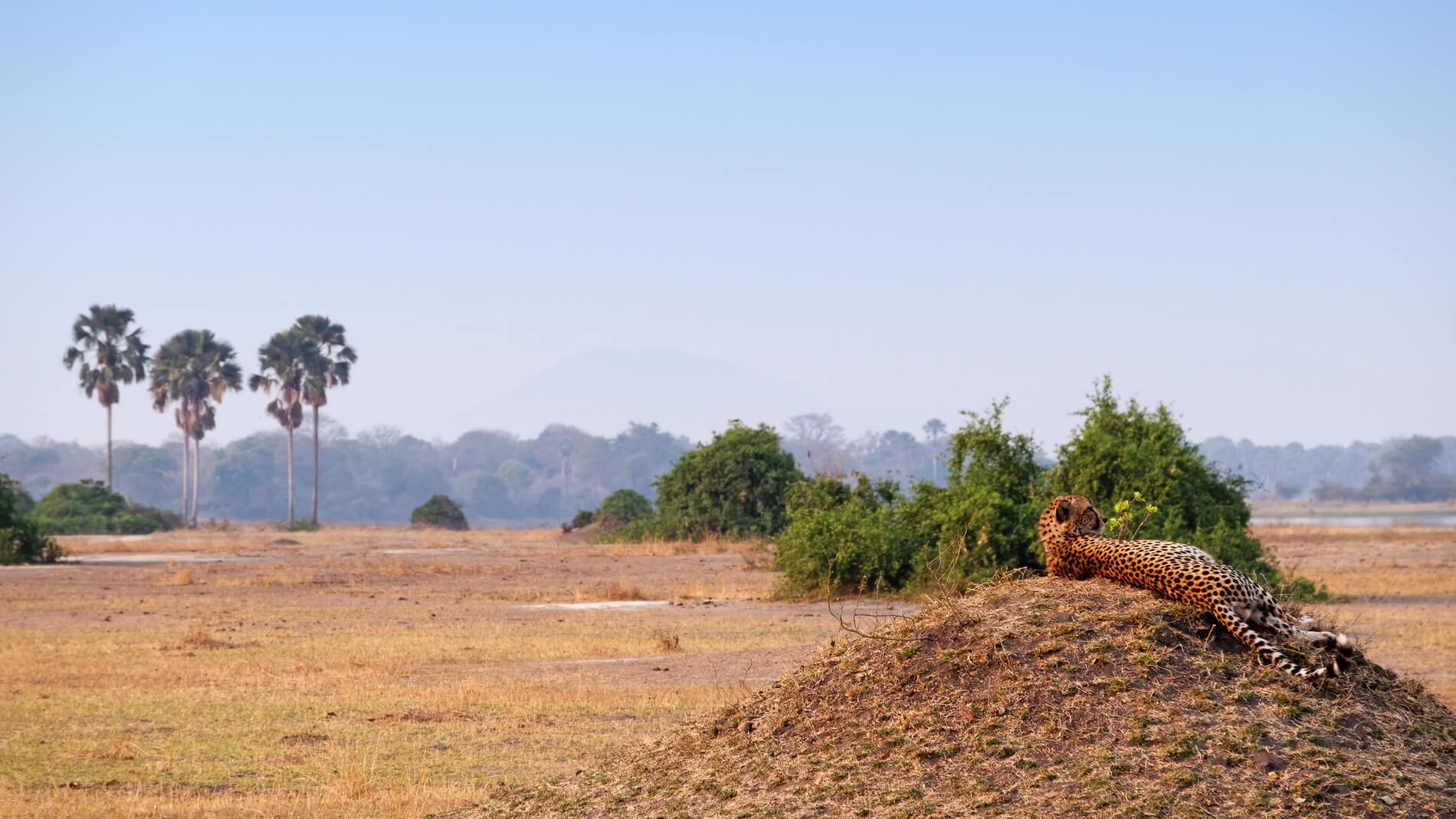 Liwonde National Park, Malawi