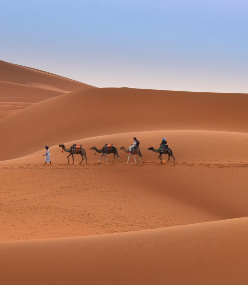 Camel Trekking, Morocco