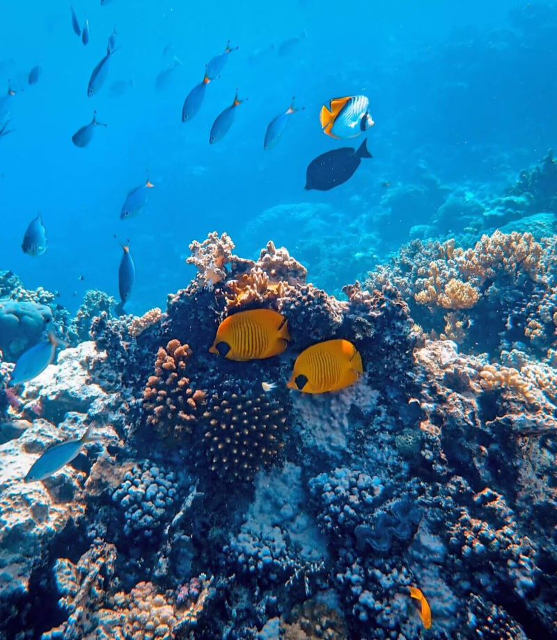 Lake Malawi Diving, Malawi