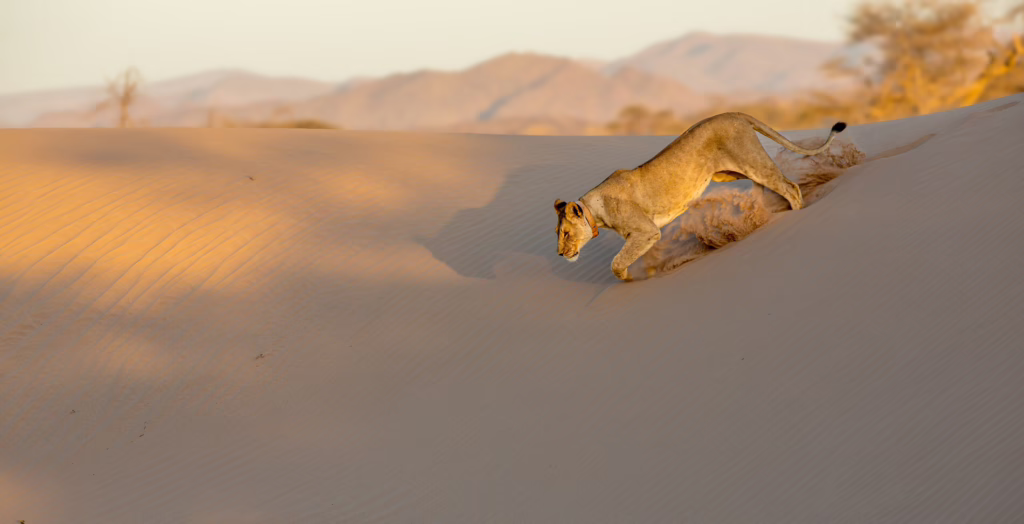 Damaraland, Namibia