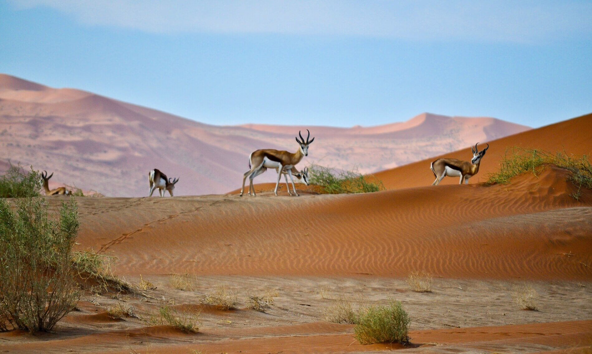 Sossusvlei, Namibia