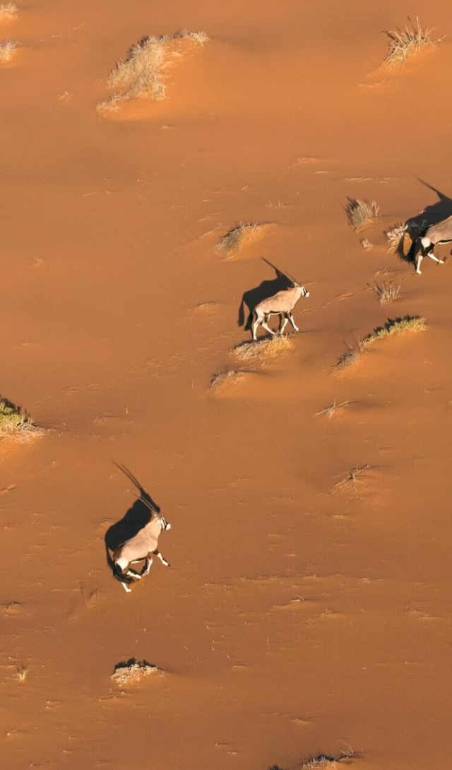 Sossuvlei, Namibia