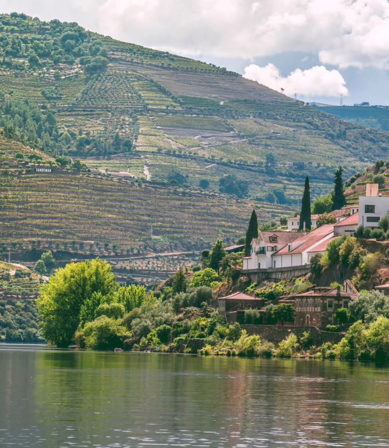 Wine Tasting Vineyard Tour, Portugal
