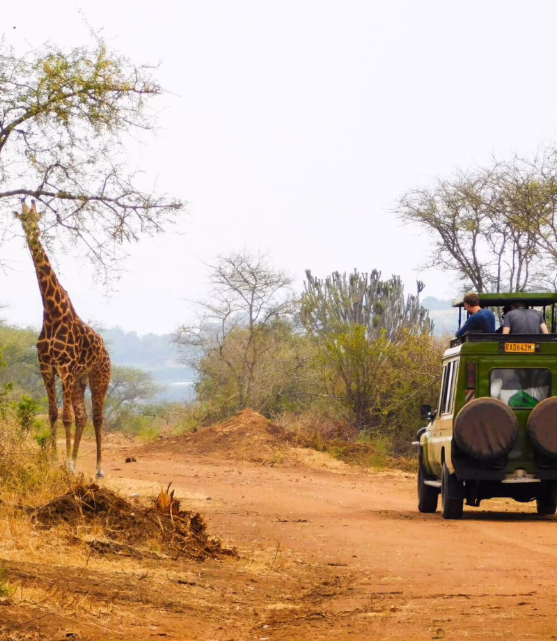 Akagera National Park, Rwanda