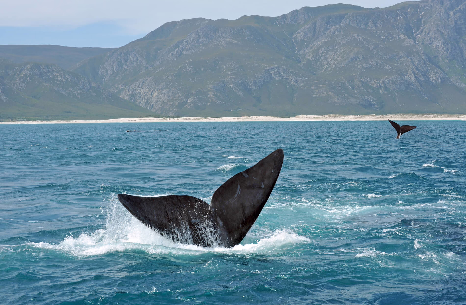 Hermanus, South Africa