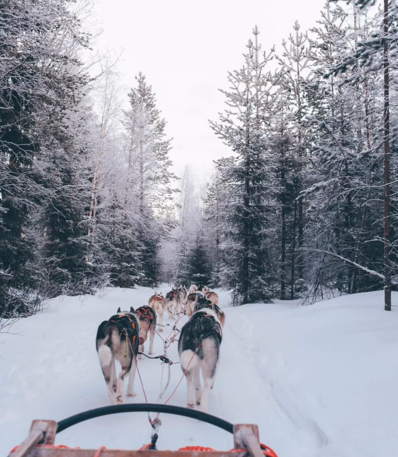 Arctic Circle Winter Activities, Sweden