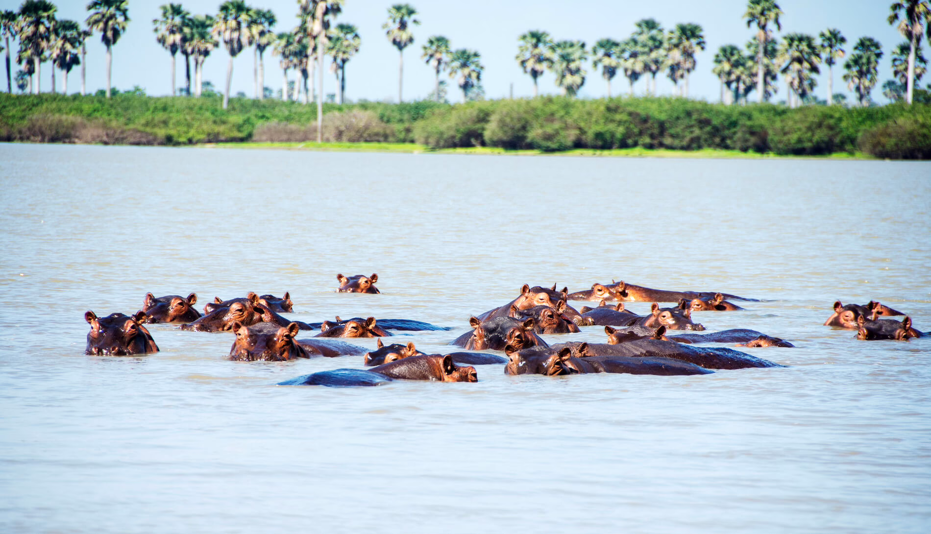 Selous National Park, Tanzania