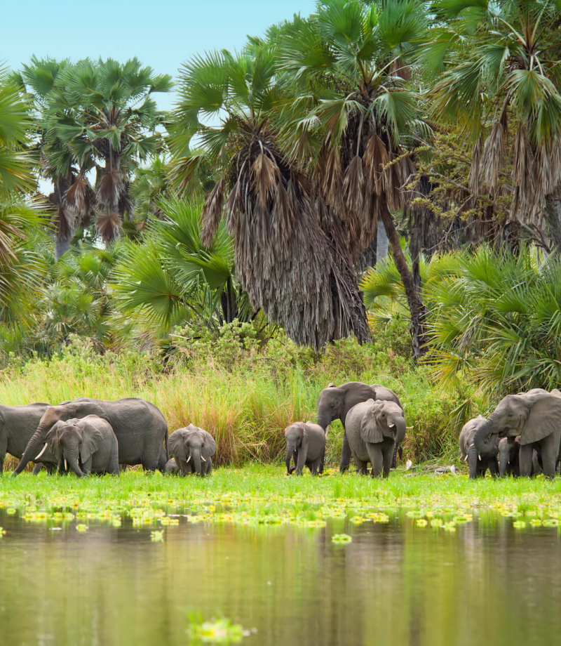 Selous, Tanzania