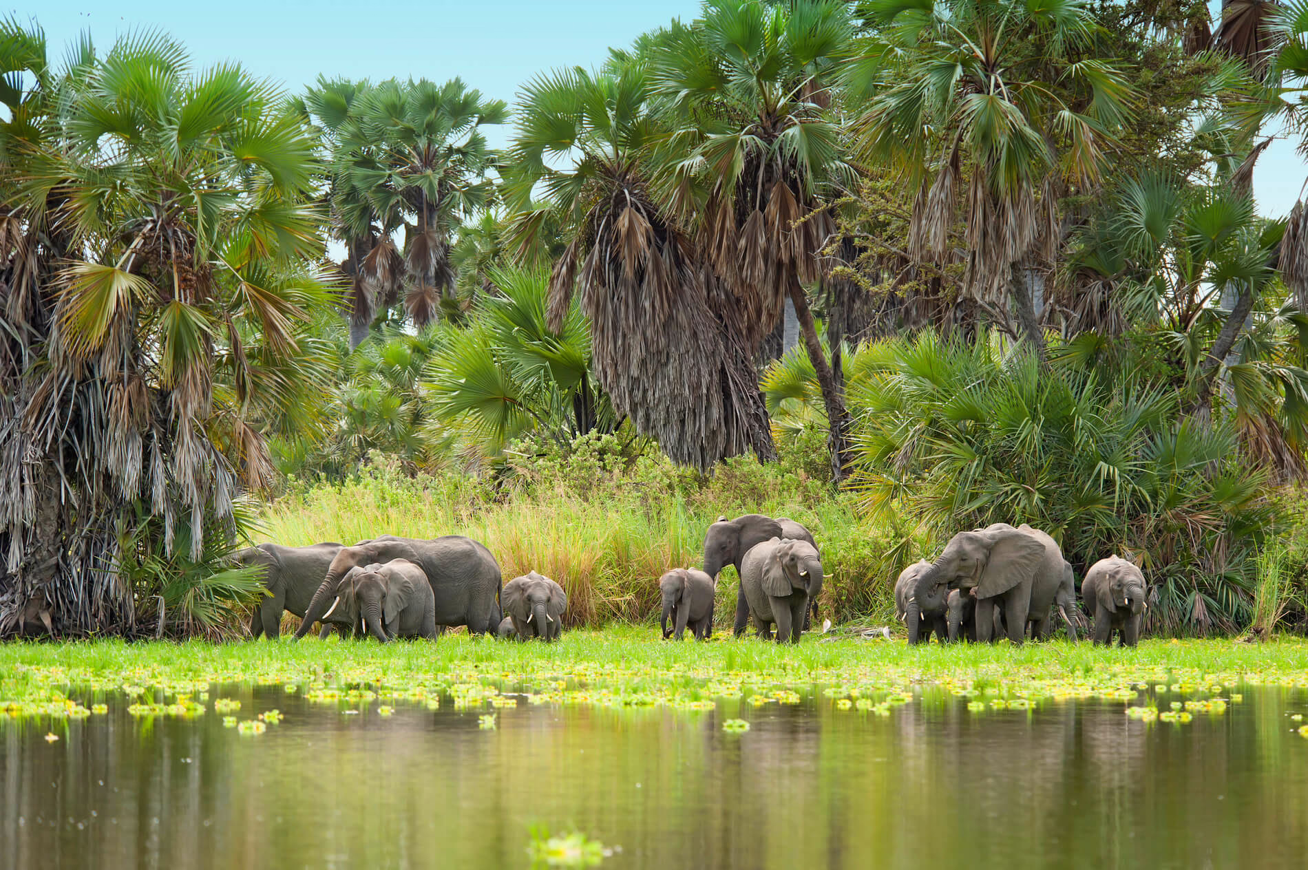 Selous, Tanzania