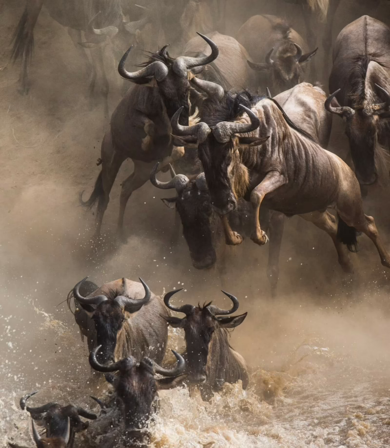 Serengeti National Park, Tanzania