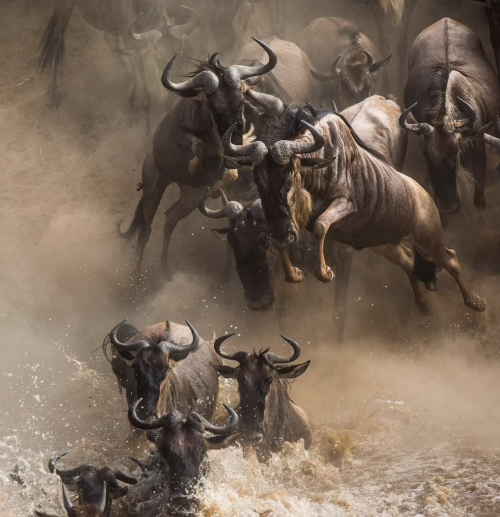 Serengeti National Park, Tanzania