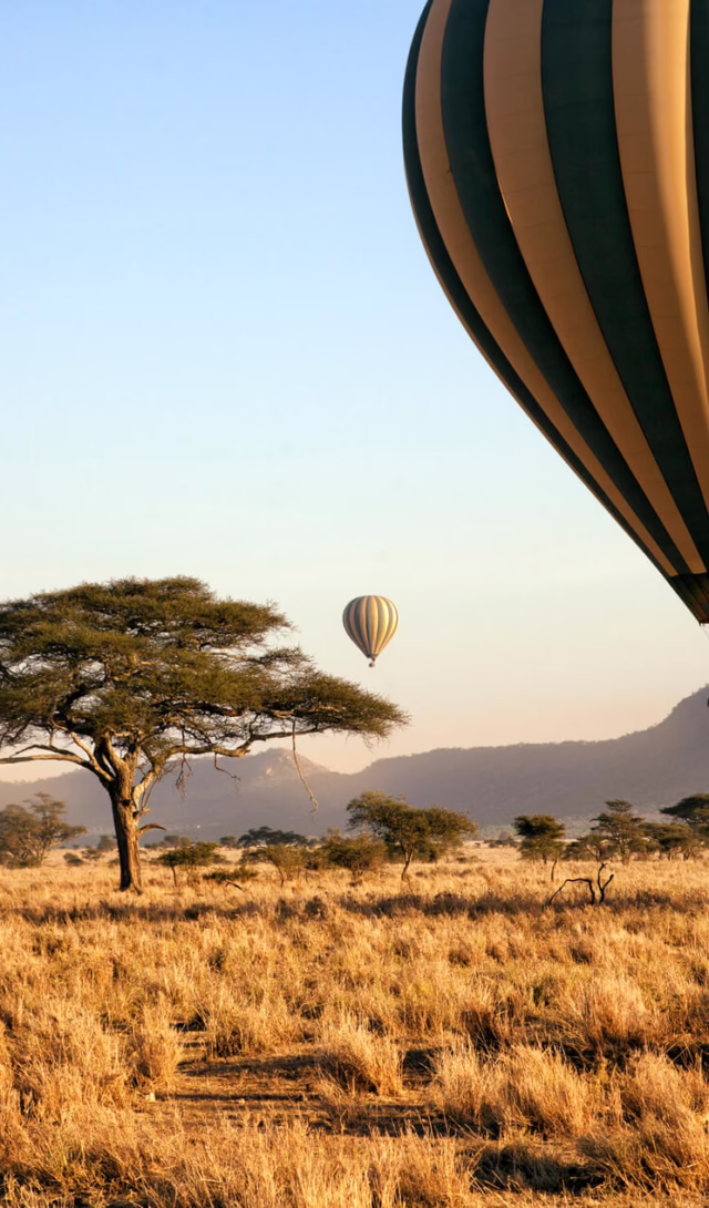 Serengeti, Tanzania