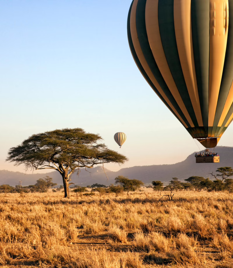 Serengeti, Tanzania