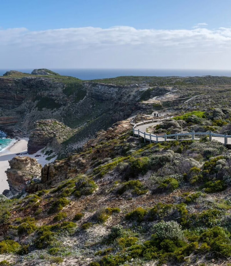 Cape Peninsula Private Tour, South Africa