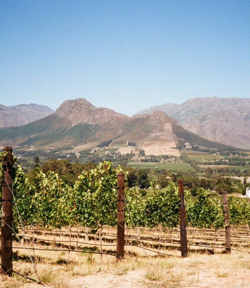 Cape Winelands, South Africa