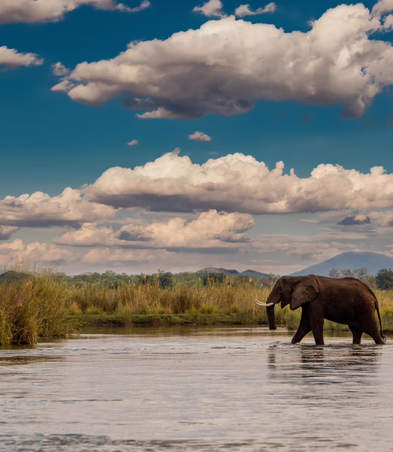 Lower Zambezi National Park, Zambia