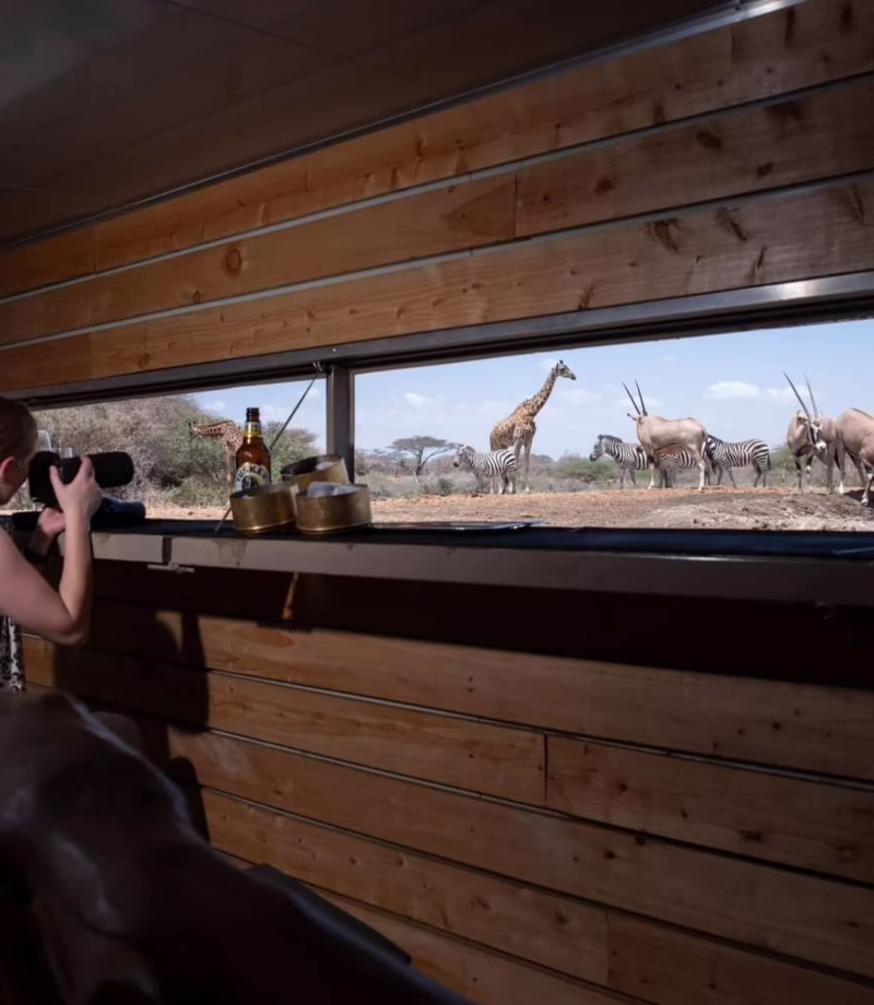 Wildlife Hide, Zambia