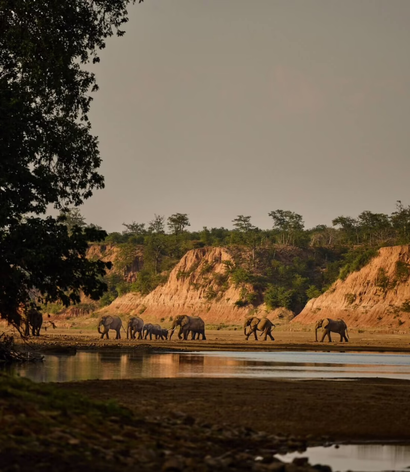 Gonarezhou National Park, Zimbabwe