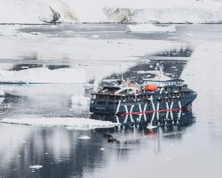 A21_MAG04-CA_2019-20_ANAIS-REKUS_ARP_2233_Original_19217