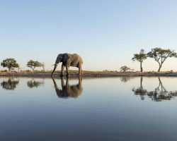 True Travel Botswana
