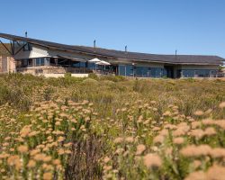 South Africa - Grootbos Accommodation Forest Lodge - Exterior